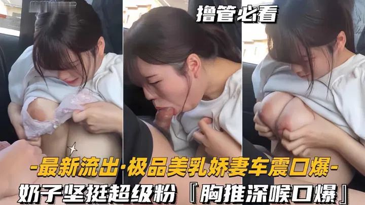 最新流出极品美乳娇妻车震口爆奶子坚挺超级粉胸推深喉 第1集